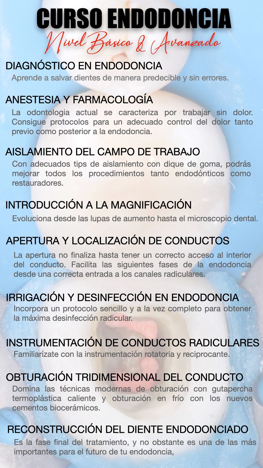 Curso de Endodoncia Básico & Avanzado Valnecia